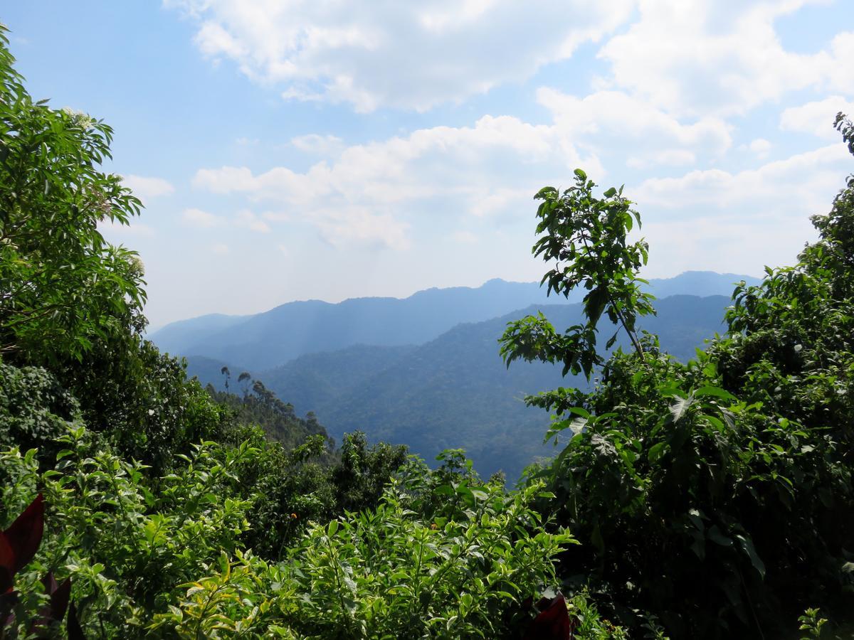 Nkuringo Bwindi Gorilla Lodge Luaran gambar