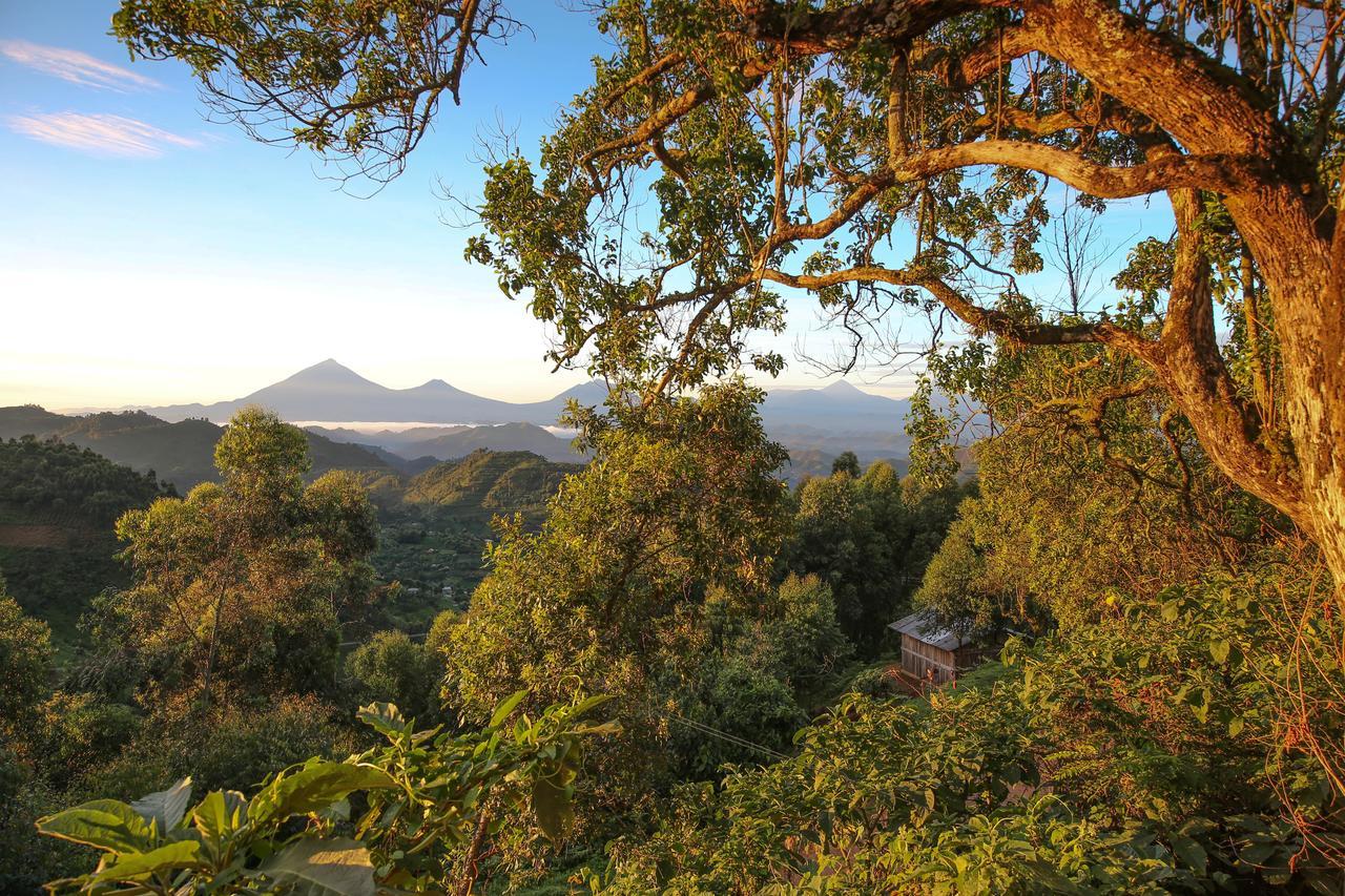 Nkuringo Bwindi Gorilla Lodge Luaran gambar