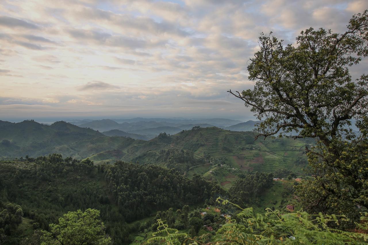 Nkuringo Bwindi Gorilla Lodge Luaran gambar