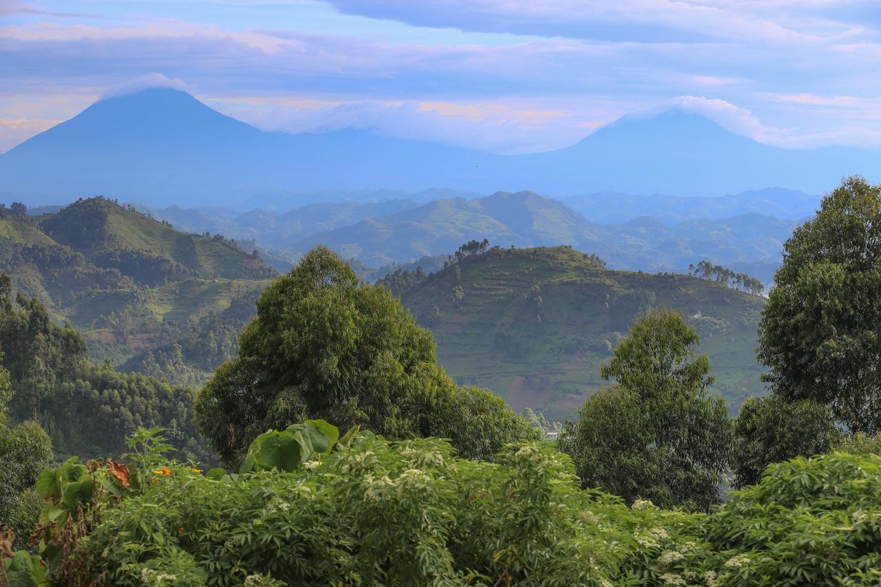 Nkuringo Bwindi Gorilla Lodge Luaran gambar